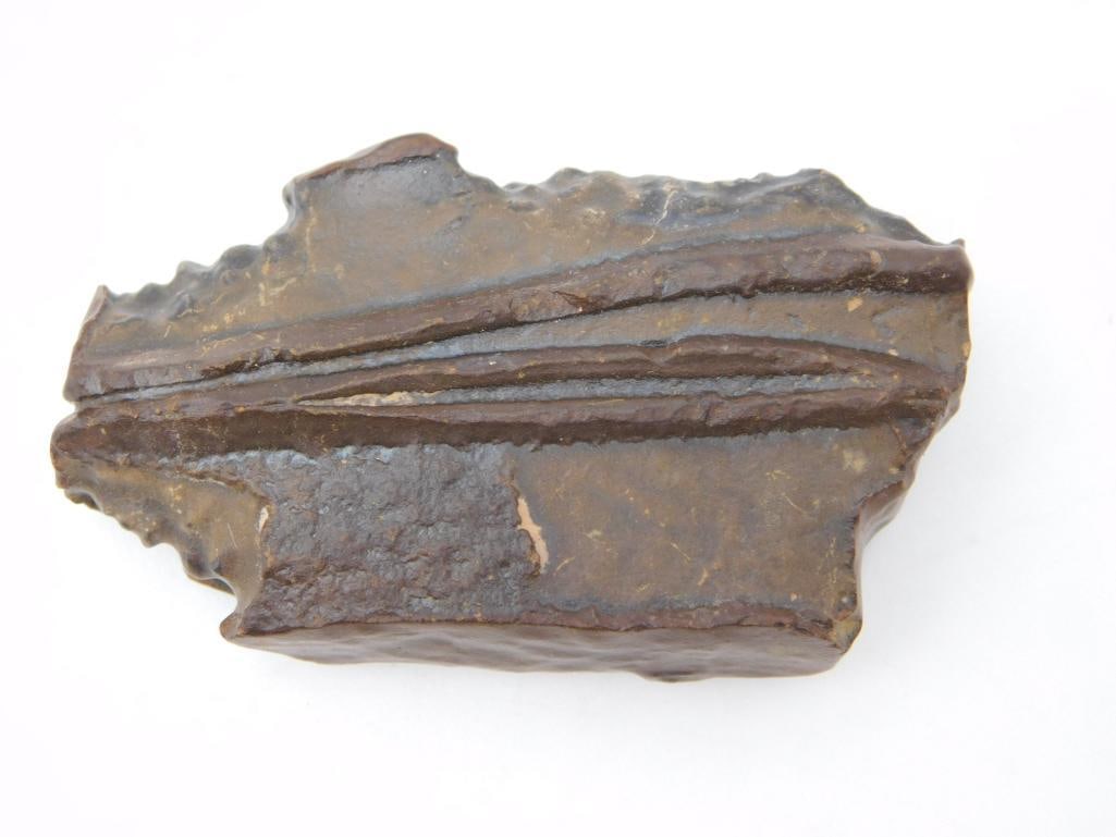 STROMATOLITE ROCK STONE LAPIDARY SPECIMEN: STROMATOLITE ROCK STONE LAPIDARY SPECIMEN