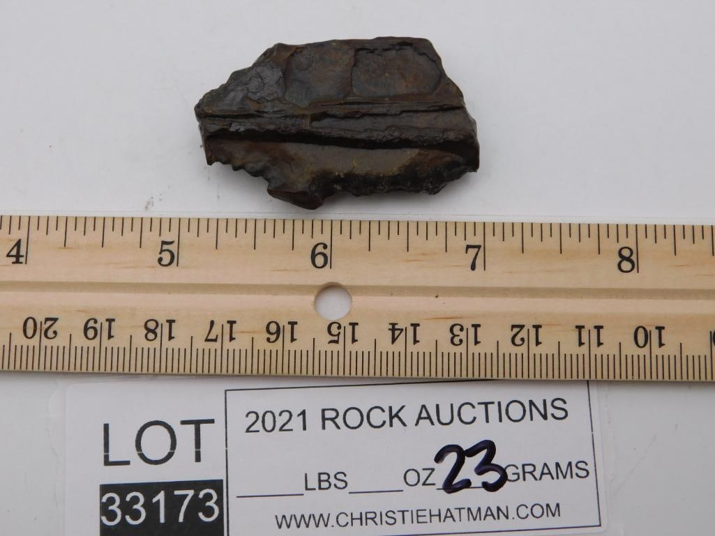 STROMATOLITE ROCK STONE LAPIDARY SPECIMEN - 2