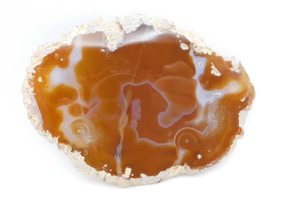 AGATE SLICE ROCK STONE LAPIDARY SPECIMEN: AGATE SLICE ROCK STONE LAPIDARY SPECIMEN
