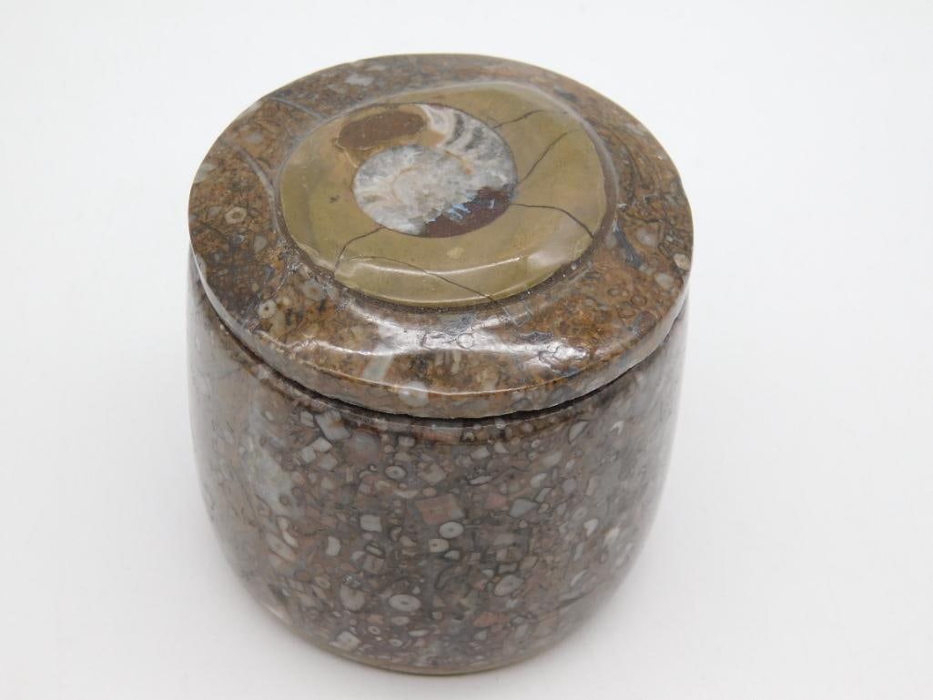 ORTHOCERAS TRINKET BOX ROCK STONE LAPIDARY SPECIMEN: ORTHOCERAS TRINKET BOX ROCK STONE LAPIDARY SPECIMEN