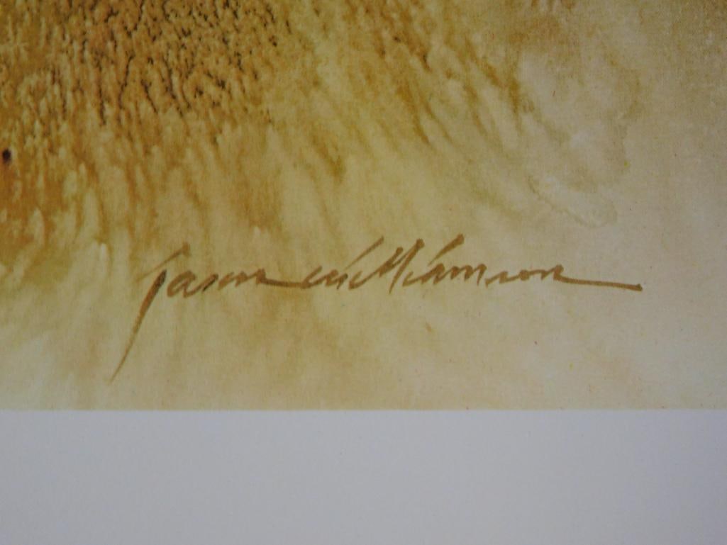 PATCHWORK BY JASON WILLIAMSON PRINT VINTAGE ANTIQUE ARTWORK - 2