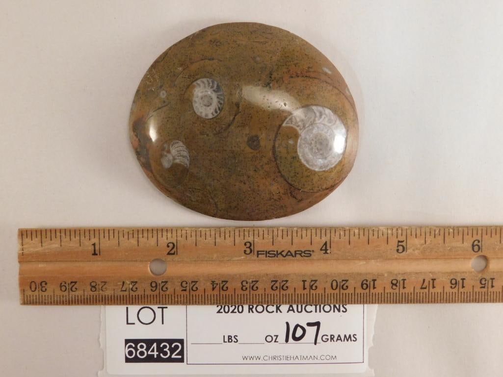 AMMONITE ROCK STONE LAPIDARY SPECIMEN - 2