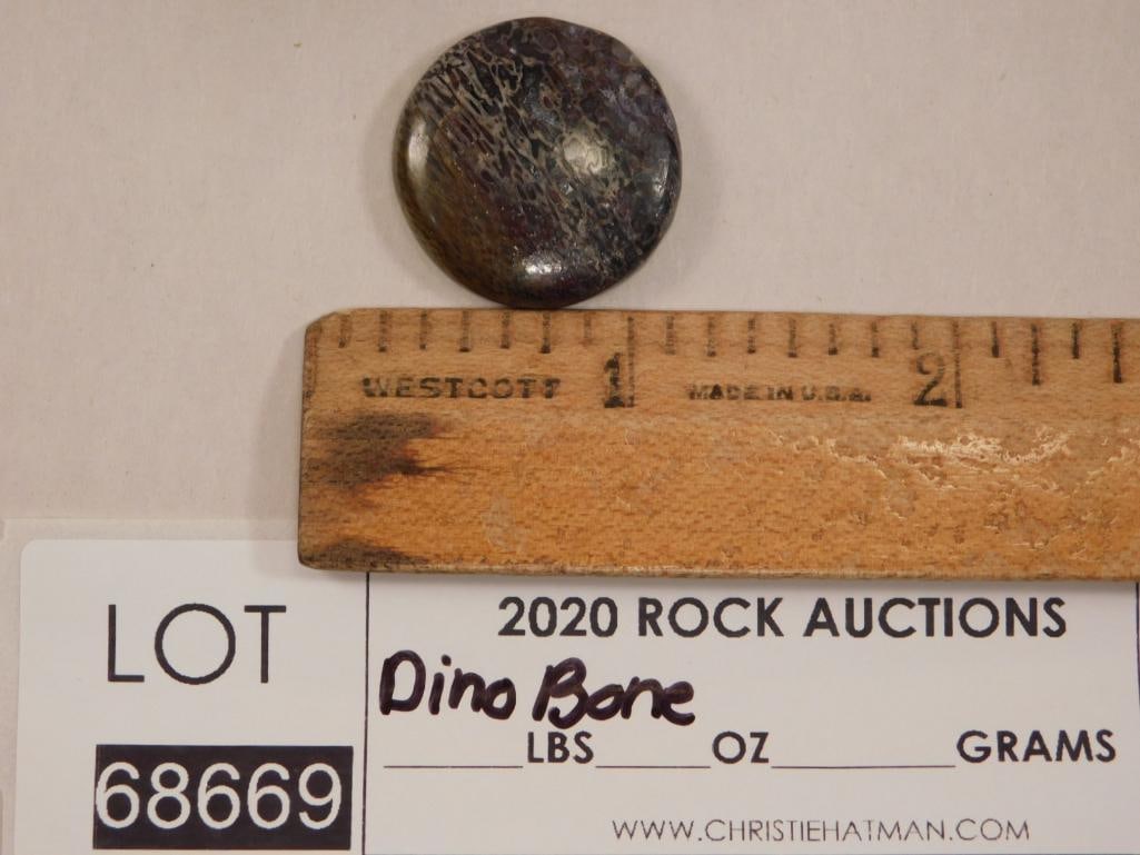 DINOSAUR BONE CABOCHON ROCK STONE LAPIDARY SPECIMEN - 2
