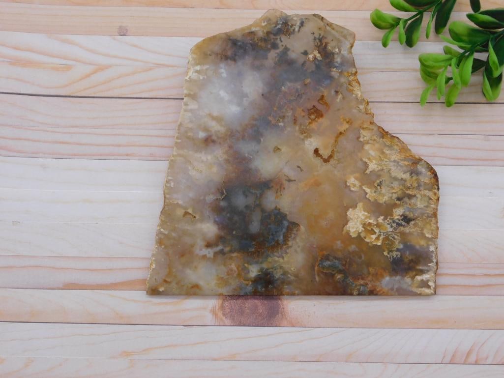 PLUME AGATE SLAB ROCK STONE LAPIDARY SPECIMEN: PLUME AGATE SLAB ROCK STONE LAPIDARY SPECIMEN