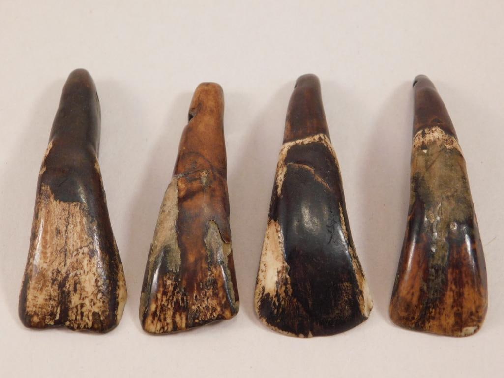BUFFALO TEETH ROCK STONE LAPIDARY SPECIMEN 4 PC: BUFFALO TEETH ROCK STONE LAPIDARY SPECIMEN 4 PC