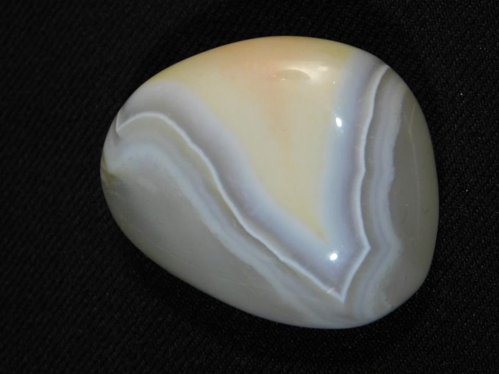 STROMATOLITE ROCK STONE LAPIDARY SPECIMEN: STROMATOLITE ROCK STONE LAPIDARY SPECIMEN