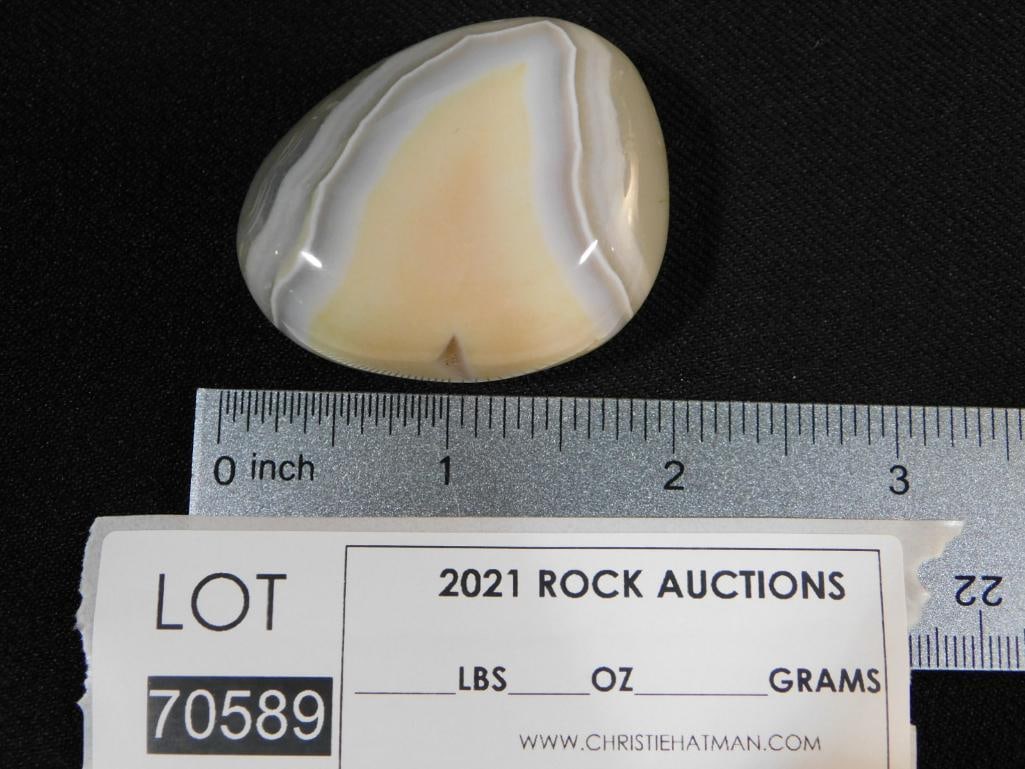 STROMATOLITE ROCK STONE LAPIDARY SPECIMEN - 2