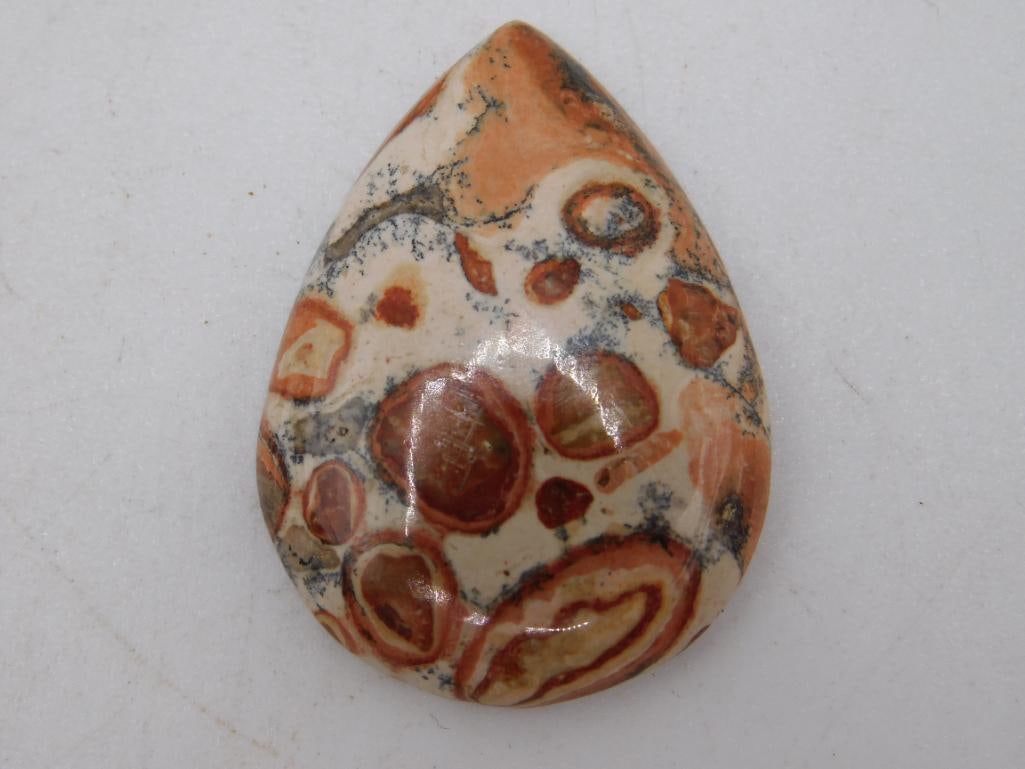 FOSSIL STONE CABOCHON ROCK STONE LAPIDARY SPECIMEN (1 of 2)