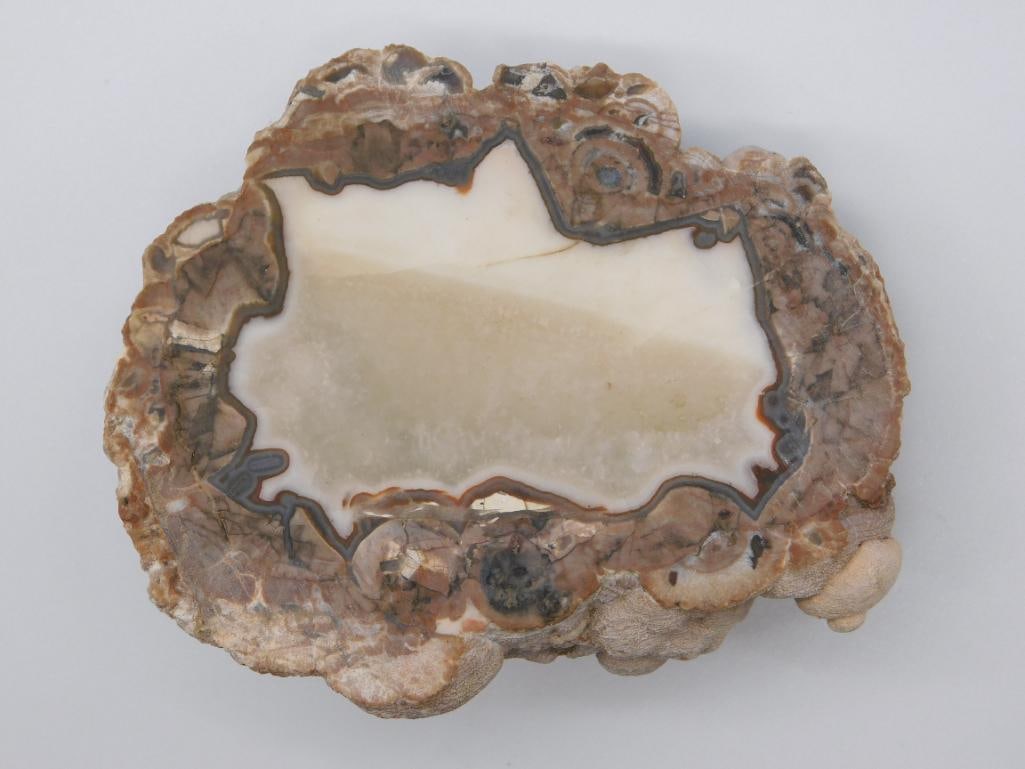 MEXICAN AGATE ROCK STONE LAPIDARY SPECIMEN: MEXICAN AGATE ROCK STONE LAPIDARY SPECIMEN