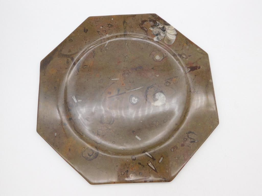 ORTHOCERAS PLATE ROCK STONE LAPIDARY SPECIMEN: ORTHOCERAS PLATE ROCK STONE LAPIDARY SPECIMEN