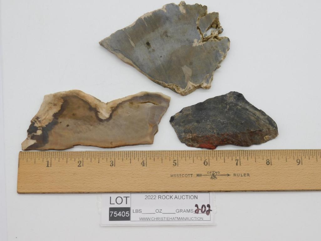 MIXED SLAB ROCK STONE LAPIDARY SPECIMEN - 2