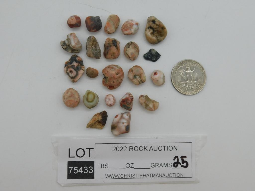 THOMPSONITE ROCK STONE LAPIDARY SPECIMEN - 2