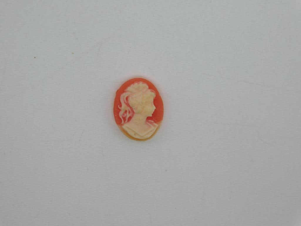 CAMEO CABOCHON ROCK STONE LAPIDARY SPECIMEN: CAMEO CABOCHON ROCK STONE LAPIDARY SPECIMEN