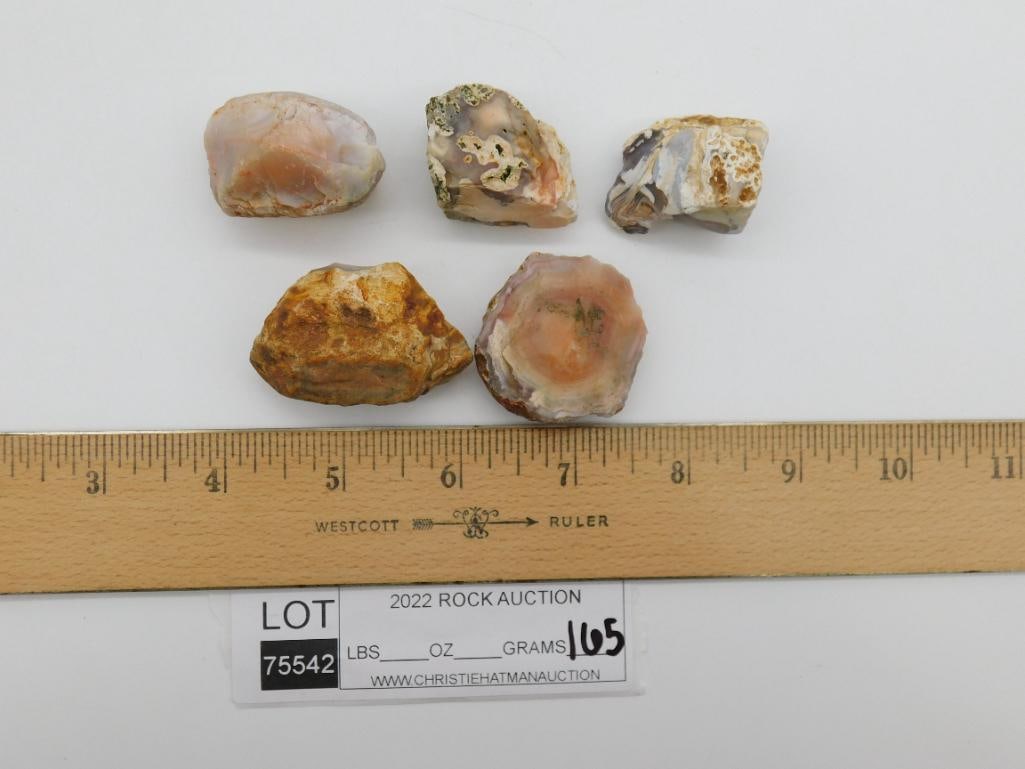 AGATE ROCK STONE LAPIDARY SPECIMEN - 2