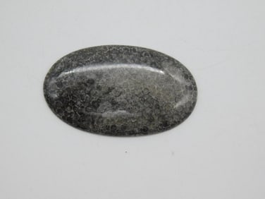 BLACK CORAL CABOCHON ROCK STONE LAPIDARY SPECIMEN