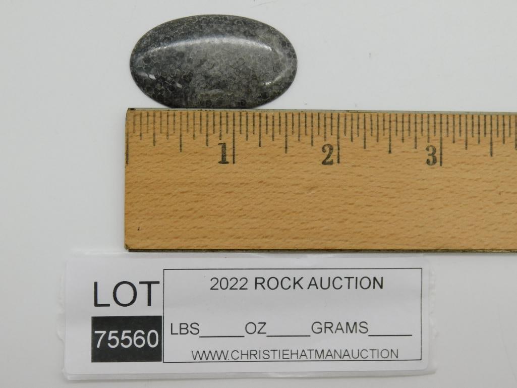 BLACK CORAL CABOCHON ROCK STONE LAPIDARY SPECIMEN - 2