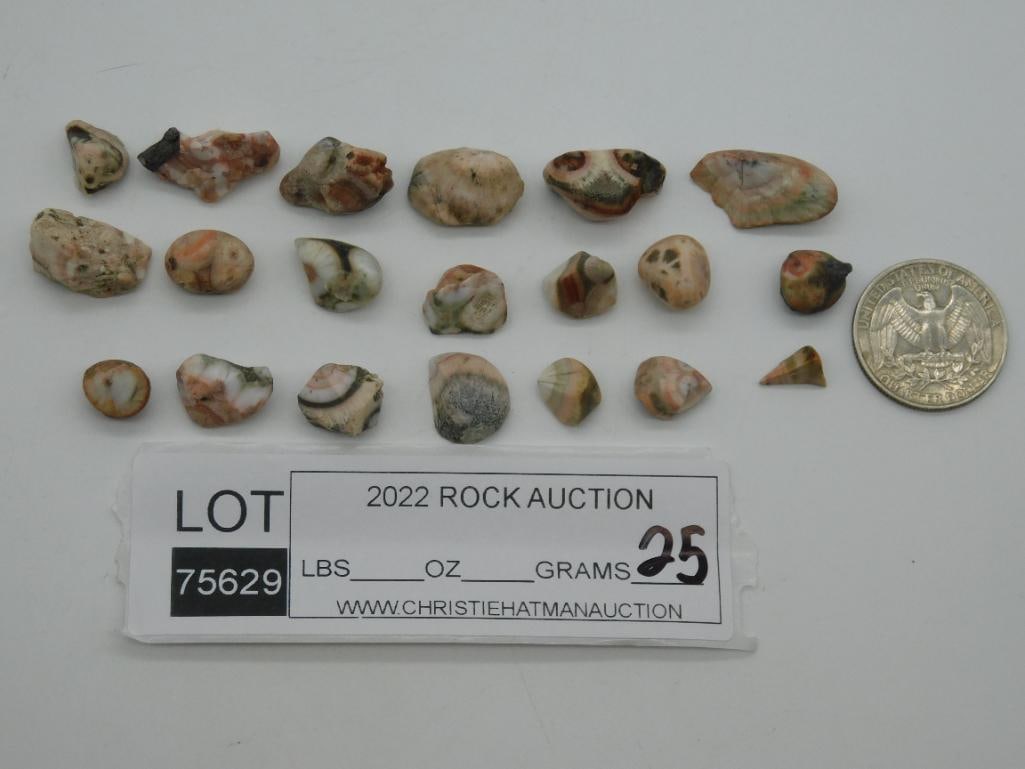 THOMPSONITE ROCK STONE LAPIDARY SPECIMEN - 2