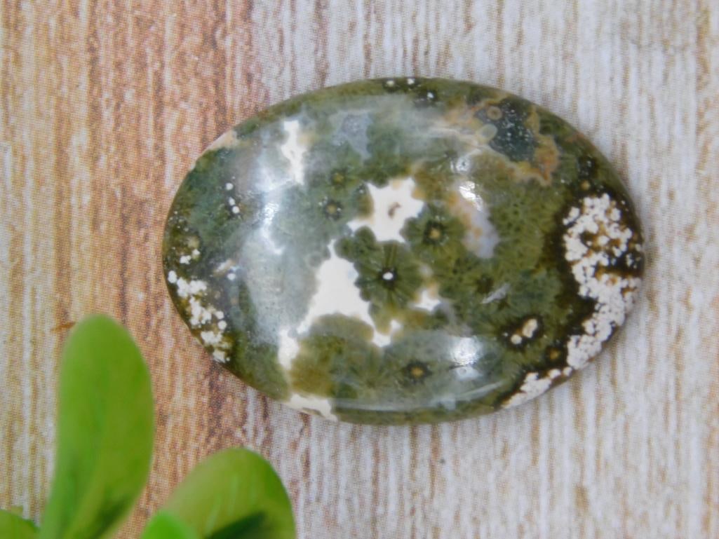 OCEAN JASPER CABOCHON ROCK STONE LAPIDARY SPECIMEN (1 of 2)
