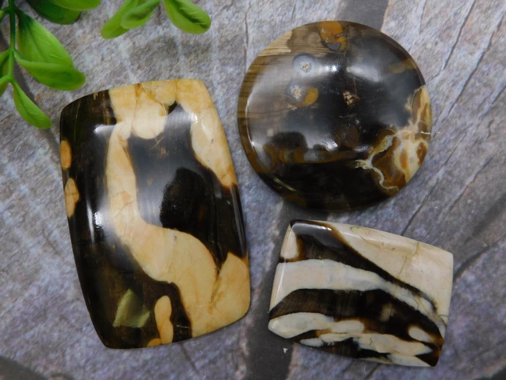CABOCHONS ROCK STONE LAPIDARY SPECIMEN: CABOCHONS ROCK STONE LAPIDARY SPECIMEN