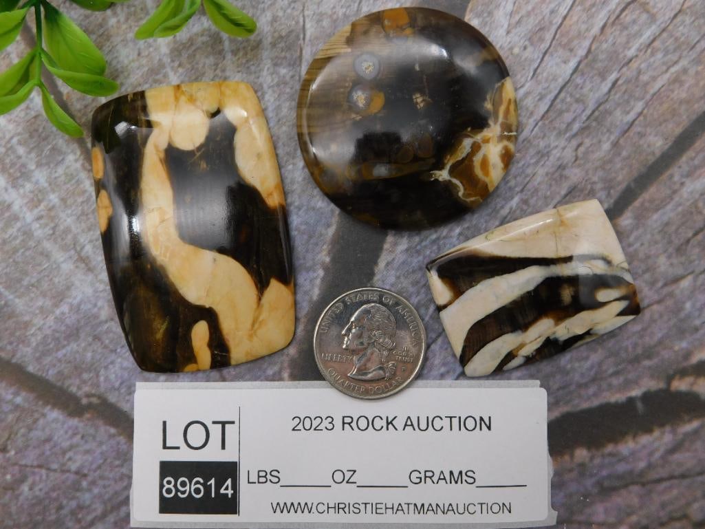 CABOCHONS ROCK STONE LAPIDARY SPECIMEN - 2