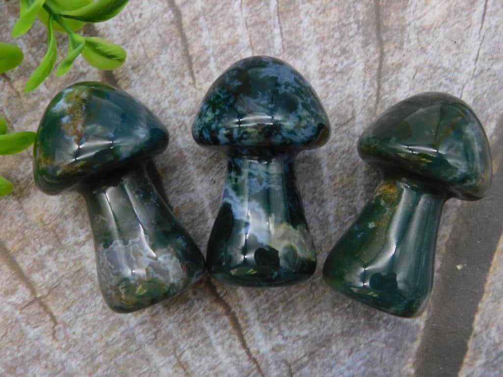 MOSS PLUME MUSHROOMS ROCK STONE LAPIDARY SPECIMEN: MOSS PLUME MUSHROOMS ROCK STONE LAPIDARY SPECIMEN