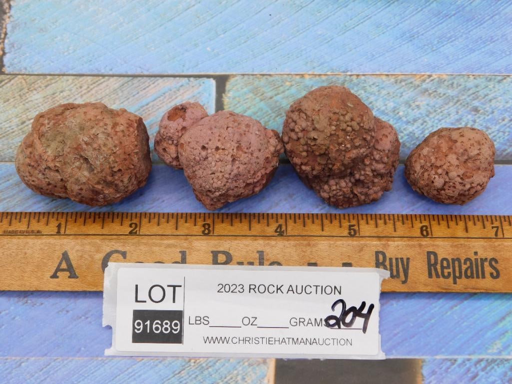 COPROLITE ROCK STONE LAPIDARY SPECIMEN - 2