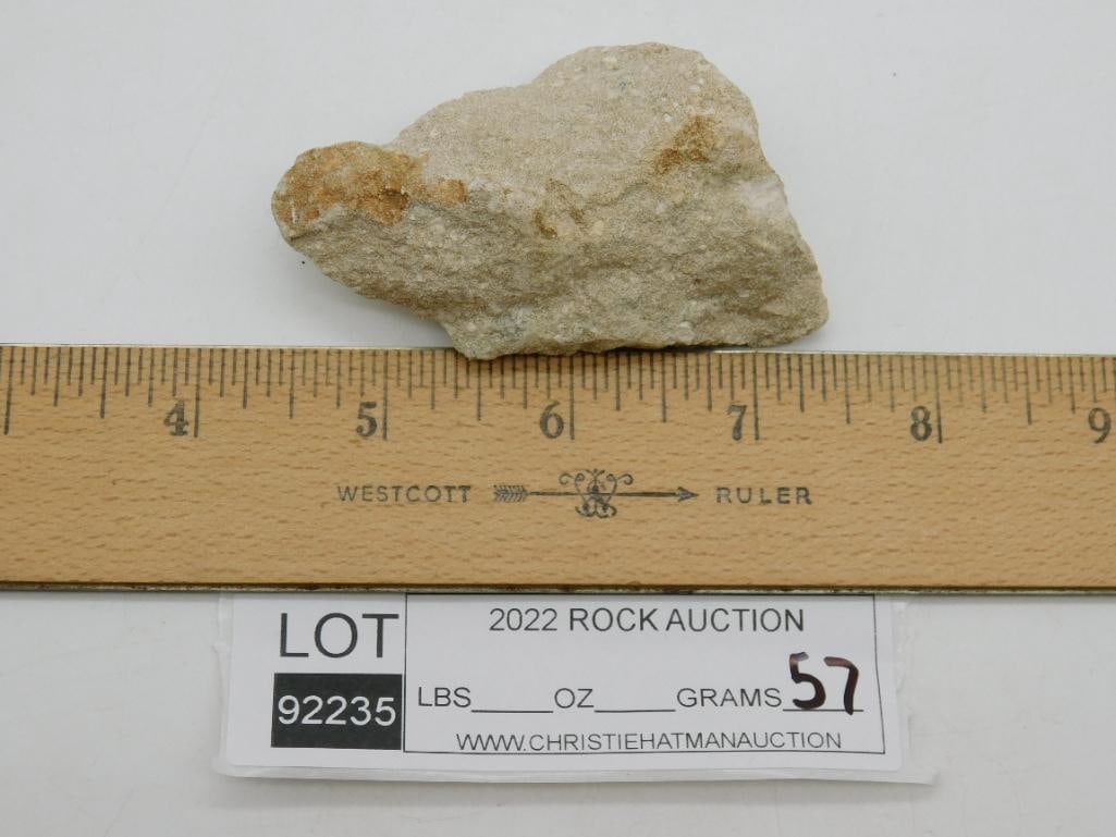 SHARK TOOTH IN MATRIX - 2