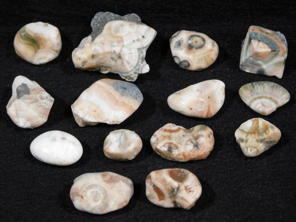 THOMPSONITE ROCK STONE LAPIDARY SPECIMEN: THOMPSONITE ROCK STONE LAPIDARY SPECIMEN