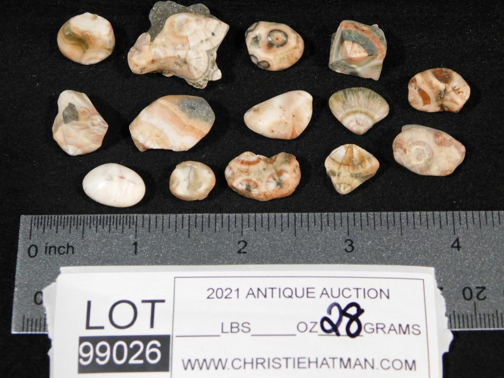 THOMPSONITE ROCK STONE LAPIDARY SPECIMEN - 2