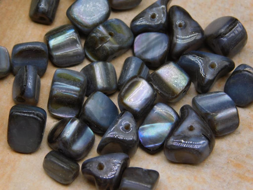 SHELL BEADS ROCK STONE LAPIDARY SPECIMEN - 2