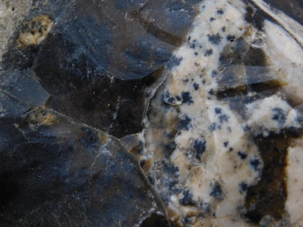 Polished Agate and Dendritic Rock Specimen - 2