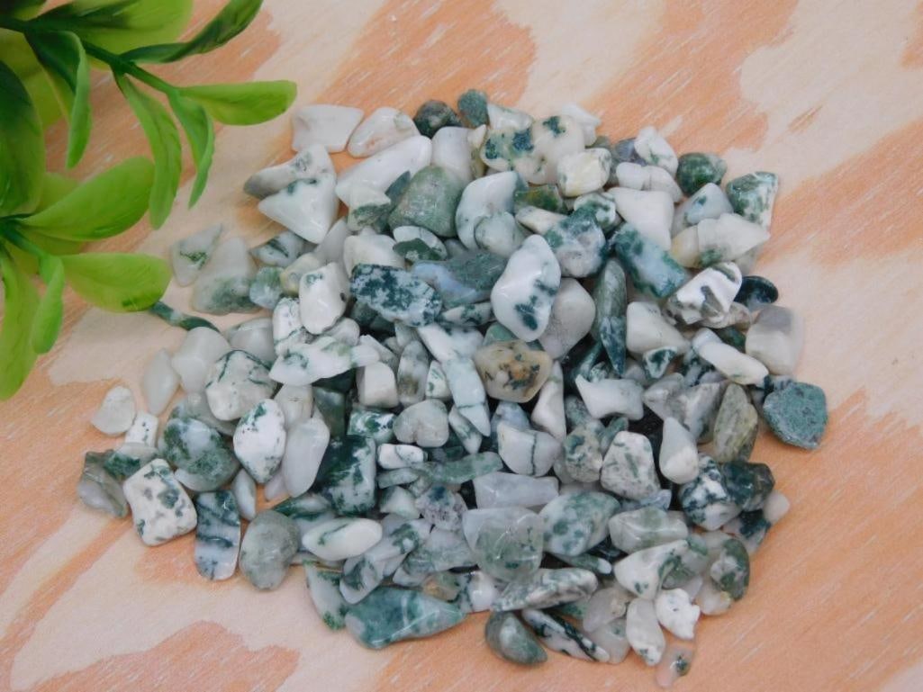 TREE AGATED ROCK STONE LAPIDARY SPECIMEN: TREE AGATED ROCK STONE LAPIDARY SPECIMEN