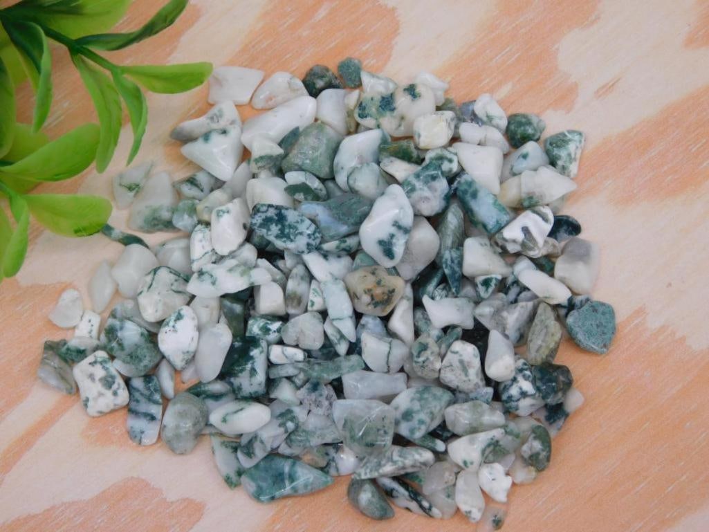 TREE AGATE ROCK STONE LAPIDARY SPECIMEN (1 of 1)