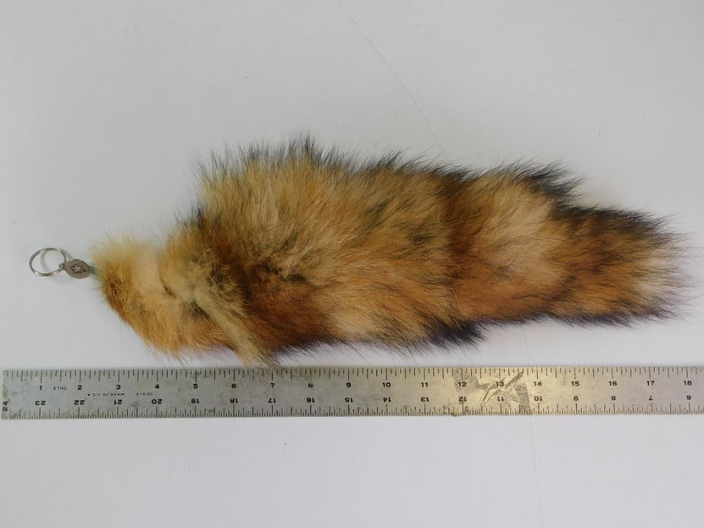 RED FOX TAIL TAXIDERMY - 3