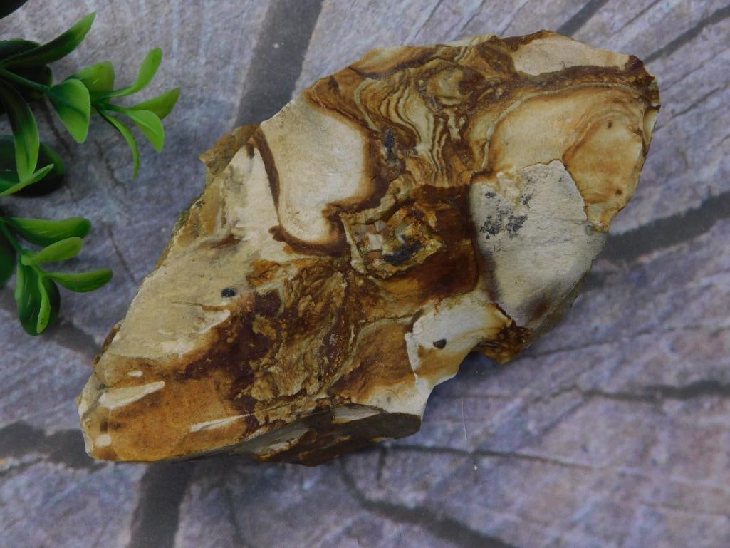 JASPER ROCK STONE LAPIDARY SPECIMEN: JASPER ROCK STONE LAPIDARY SPECIMEN