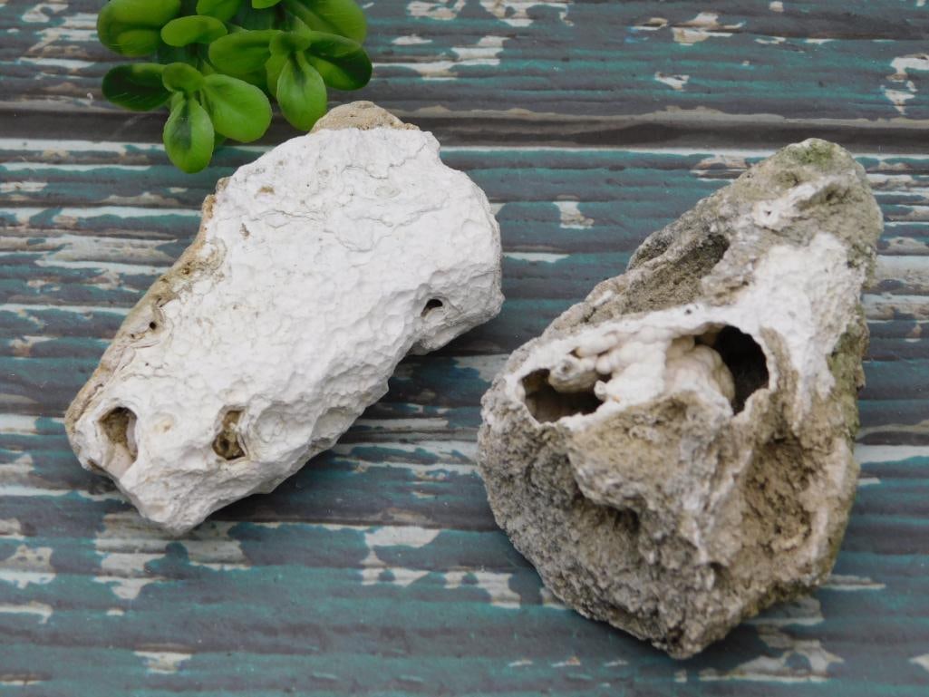 AGATIZED QUARTZ ROCK STONE LAPIDARY SPECIMEN: AGATIZED QUARTZ ROCK STONE LAPIDARY SPECIMEN