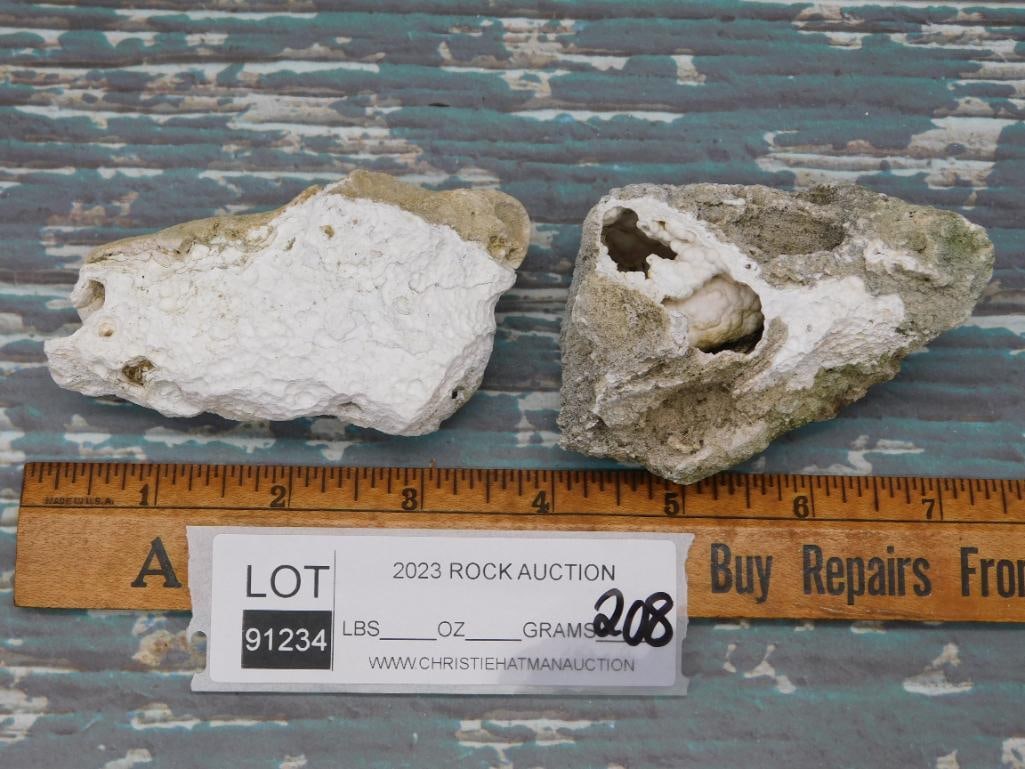 AGATIZED QUARTZ ROCK STONE LAPIDARY SPECIMEN - 2
