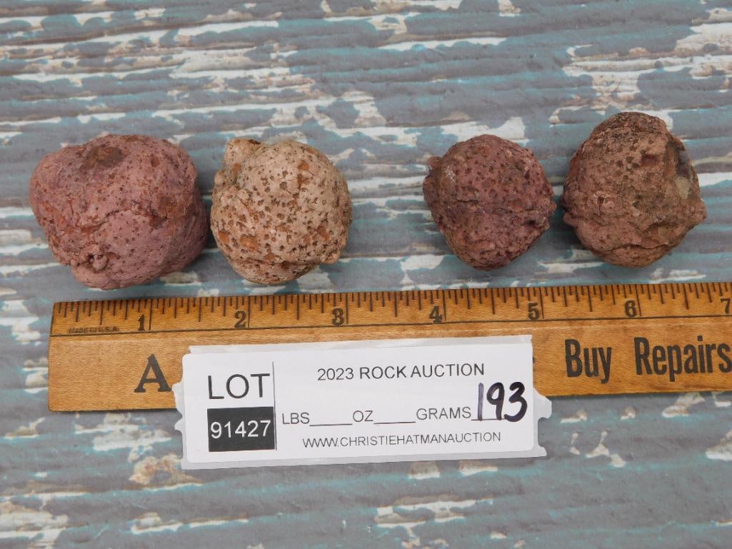 COPROLITE ROCK STONE LAPIDARY SPECIMEN - 2