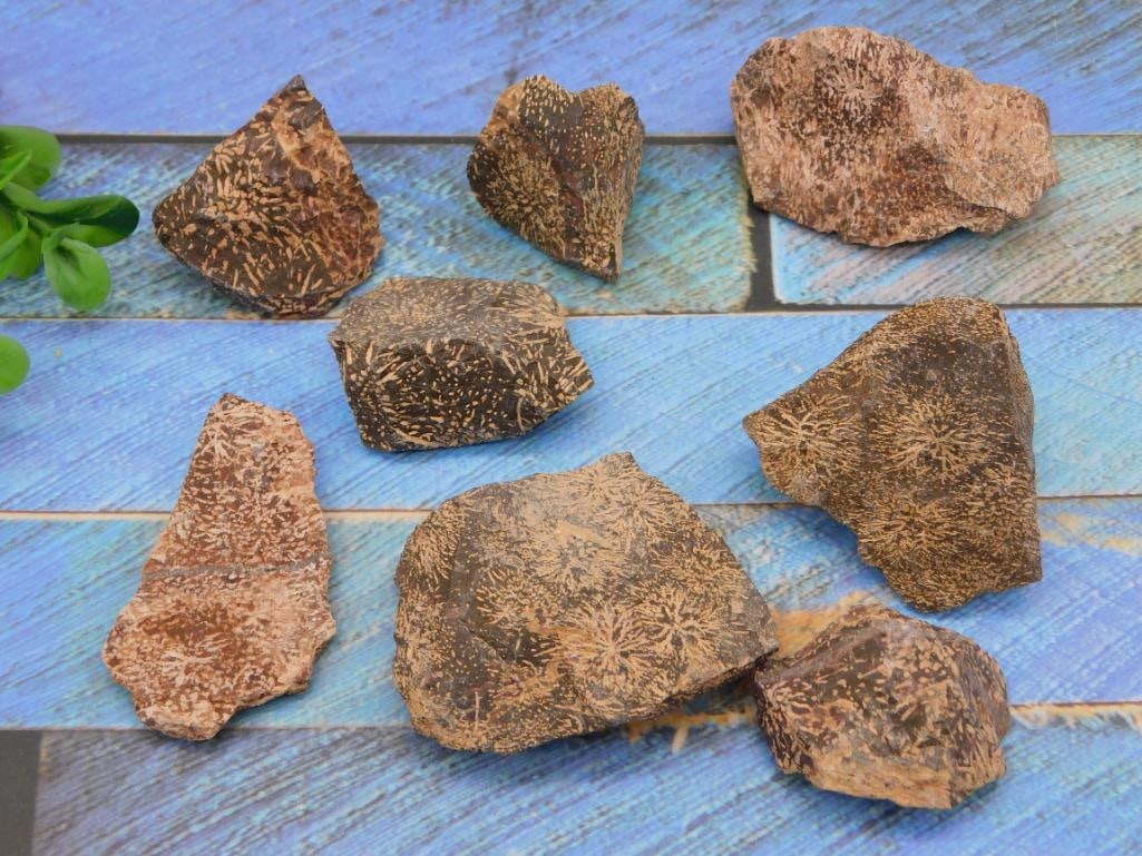 STARBURST JASPER ROCK STONE LAPIDARY SPECIMEN: STARBURST JASPER ROCK STONE LAPIDARY SPECIMEN