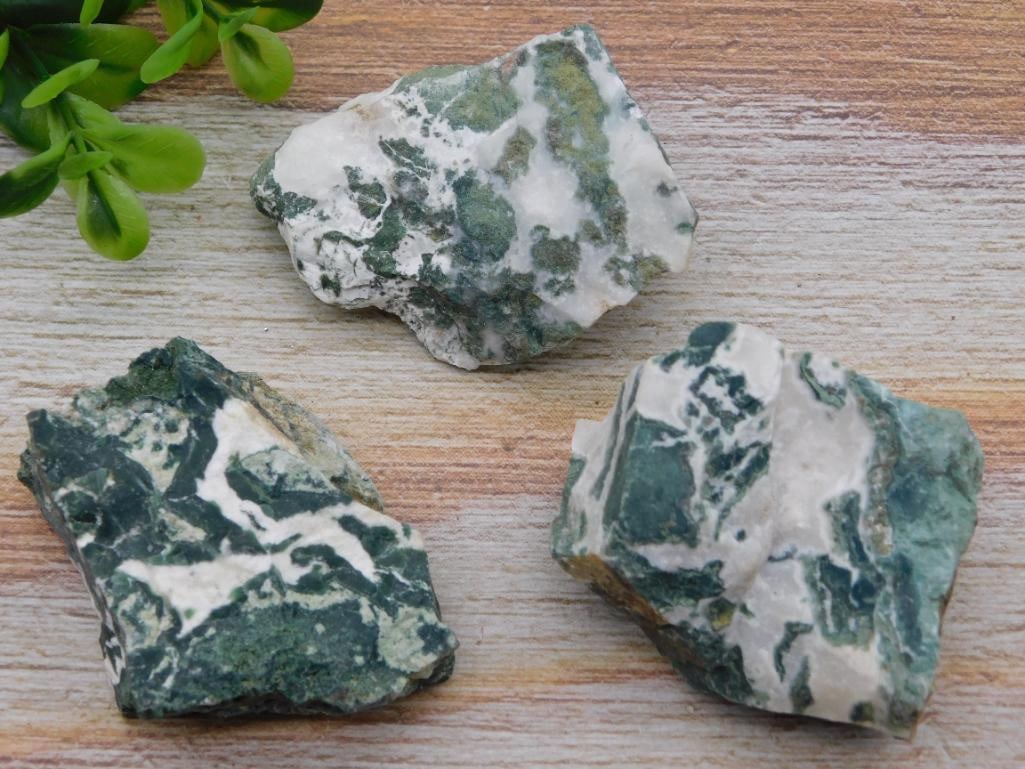 TREE AGATE ROCK STONE LAPIDARY SPECIMEN: TREE AGATE ROCK STONE LAPIDARY SPECIMEN