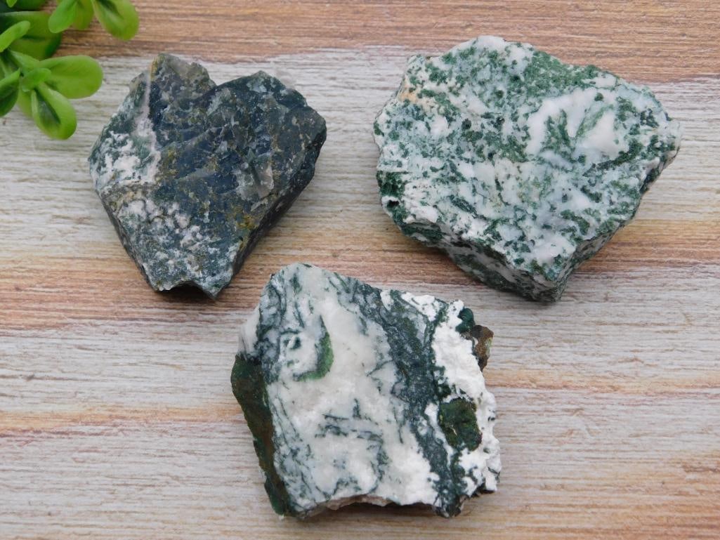 TREE AGATE ROCK STONE LAPIDARY SPECIMEN: TREE AGATE ROCK STONE LAPIDARY SPECIMEN