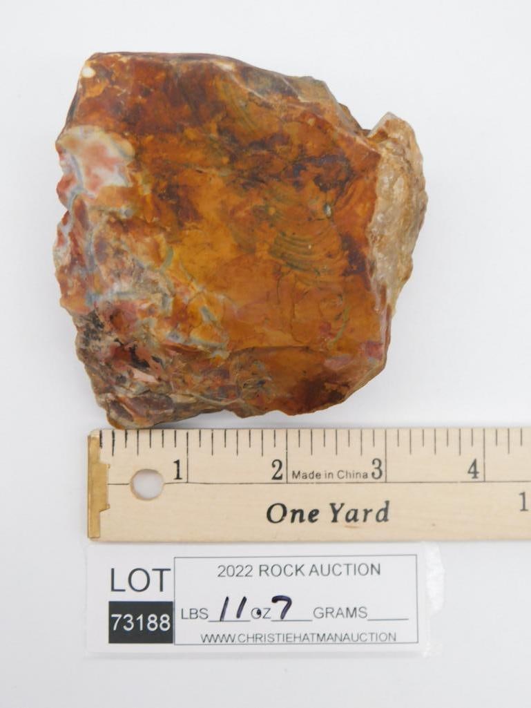 CHERT ROCK STONE LAPIDARY SPECIMEN - 2