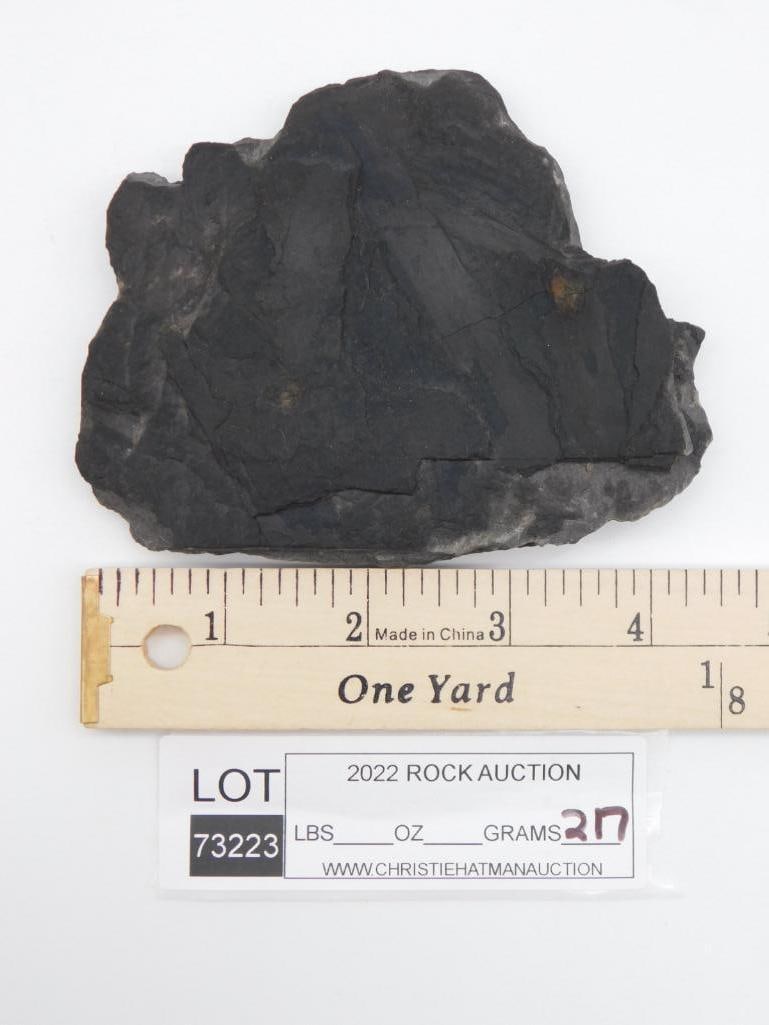 ROCK STONE LAPIDARY SPECIMEN - 2