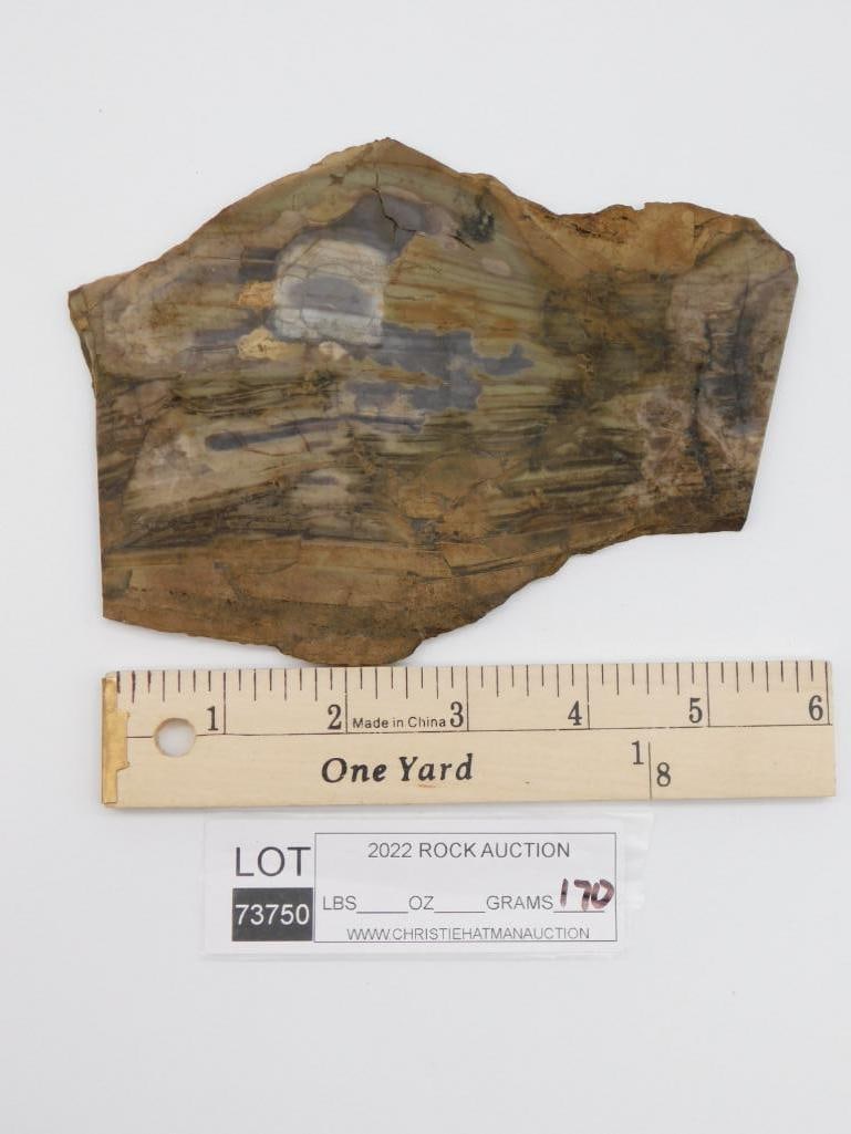 ROCK STONE LAPIDARY SPECIMEN - 2