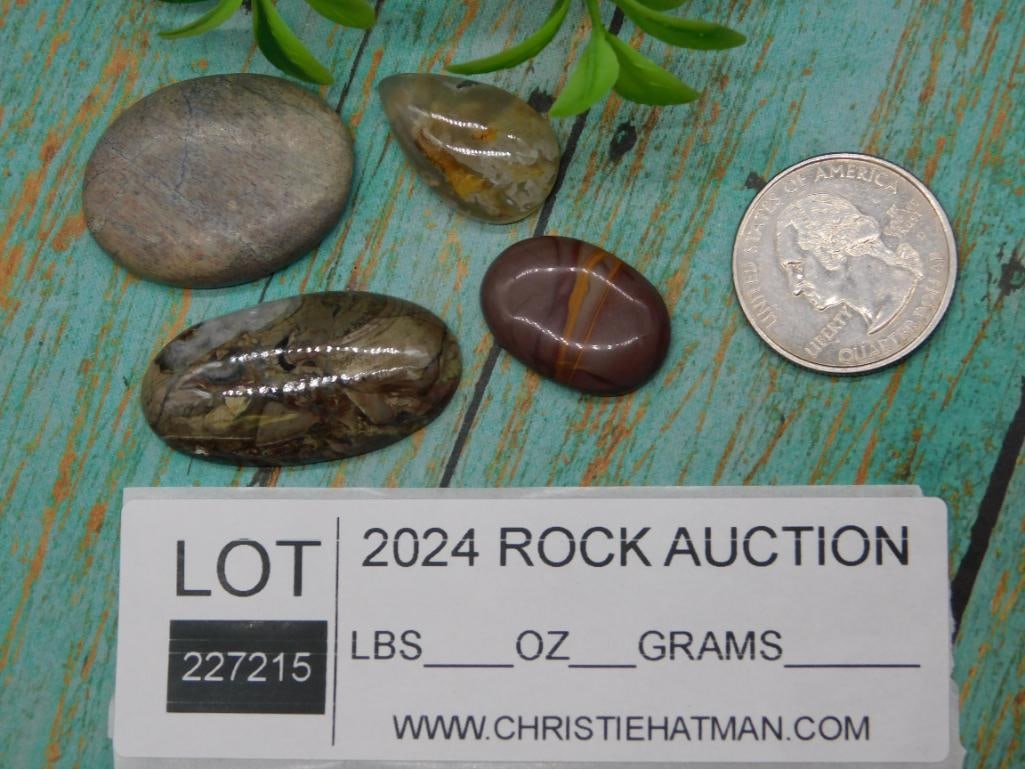 CABOCHONS ROCK STONE LAPIDARY SPECIMEN - 2