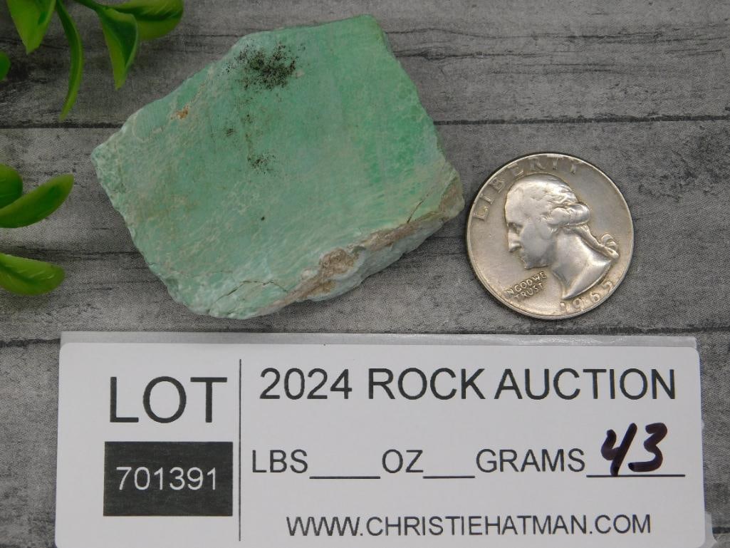 VARISCITE ROCK STONE LAPIDARY SPECIMEN - 2