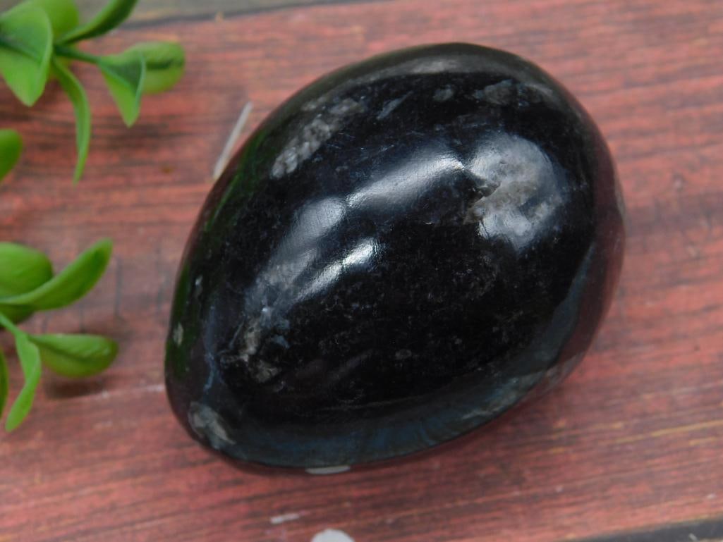 ORTHOCERAS EGG ROCK STONE LAPIDARY SPECIMEN: ORTHOCERAS EGG ROCK STONE LAPIDARY SPECIMEN