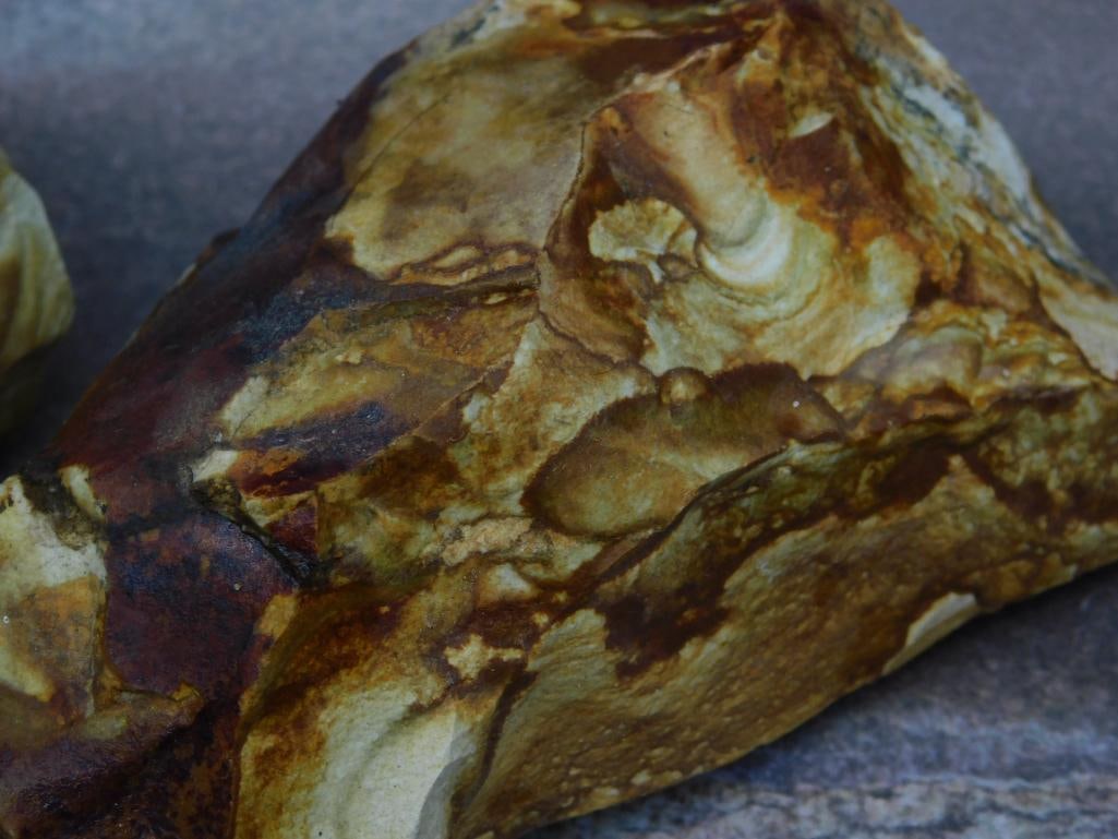 Two Jasper Rock Specimens for Display or Collection - 2