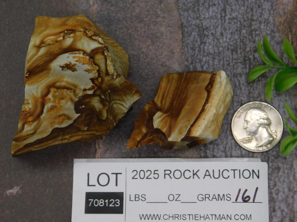 Jasper Rock Pieces - 3