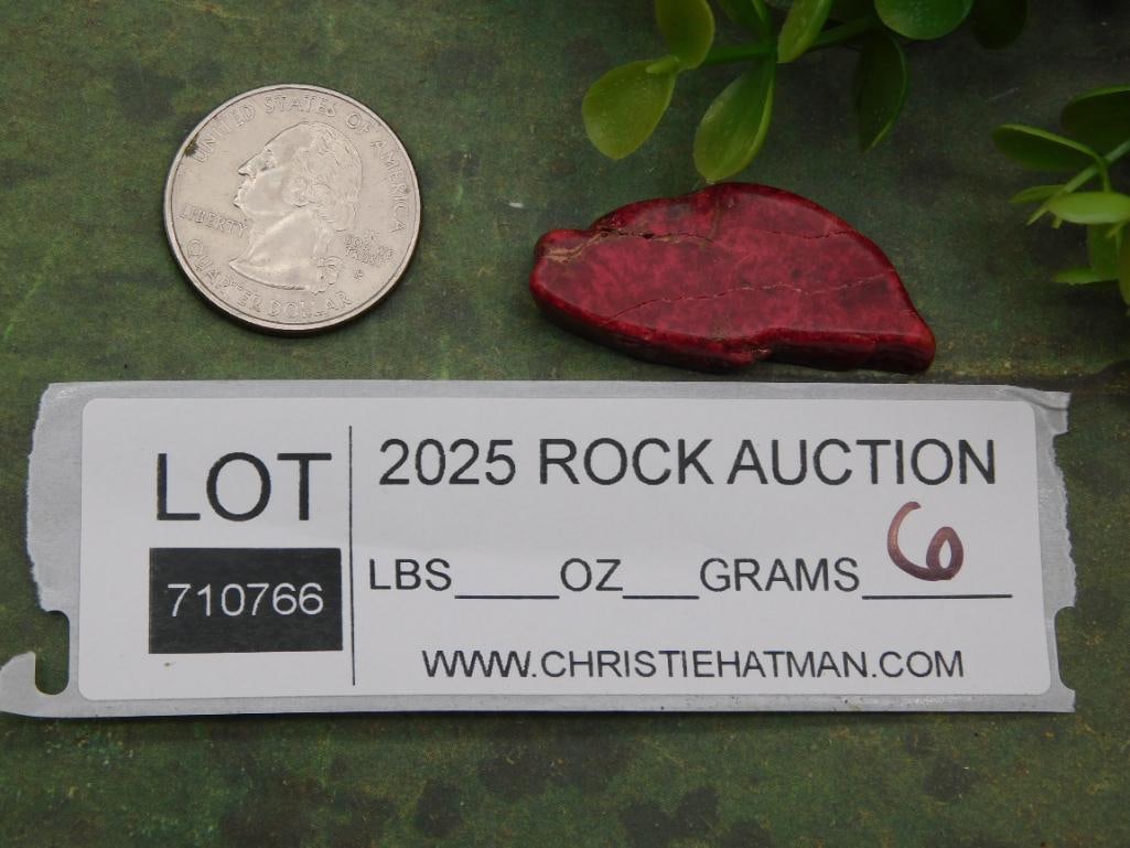 Impression Jasper Rock Stone Lapidary Specimen - 2